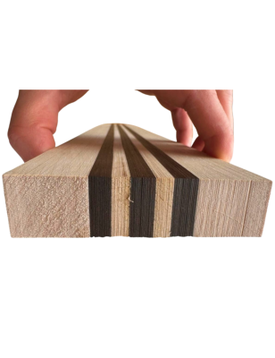 Brazilian Rosewood / Flamed Maple Neck 2 | Electric Guitar