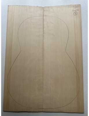 European Spruce Bearclaw Top 7 | Classical Guitar