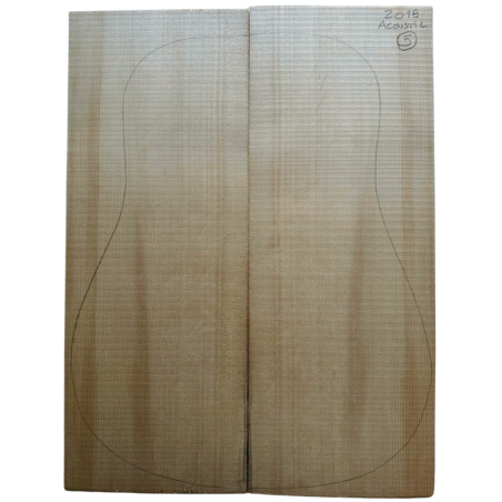 European Spruce Bearclaw Top 5 | Acoustic Guitar