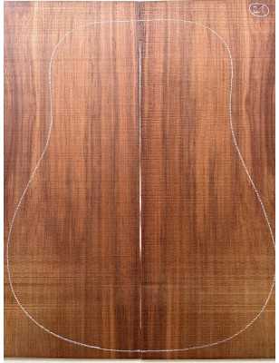 Madagascar Rosewood Set A21 | Back and Sides | Acoustic Guitar