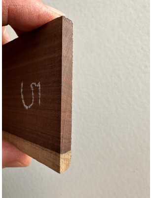 Santos Rosewood Fingerboard 5 | Bass Guitar