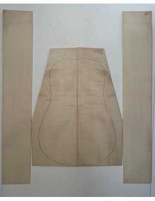 European Flamed Maple Set A7 | Acoustic Guitar