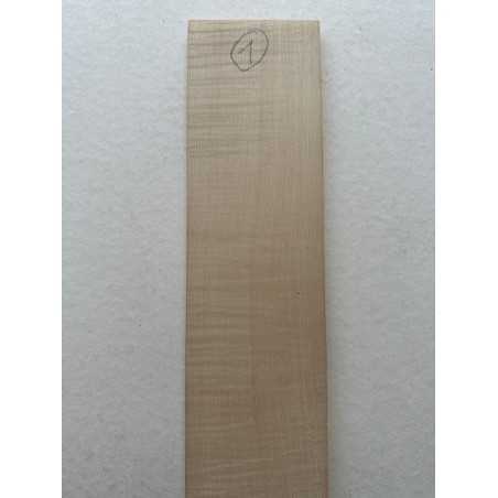 European Flamed Maple Fingerboard 1 | Electric Guitar