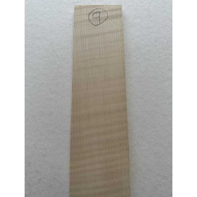 European Flamed Maple Fingerboard 9 | Electric Guitar