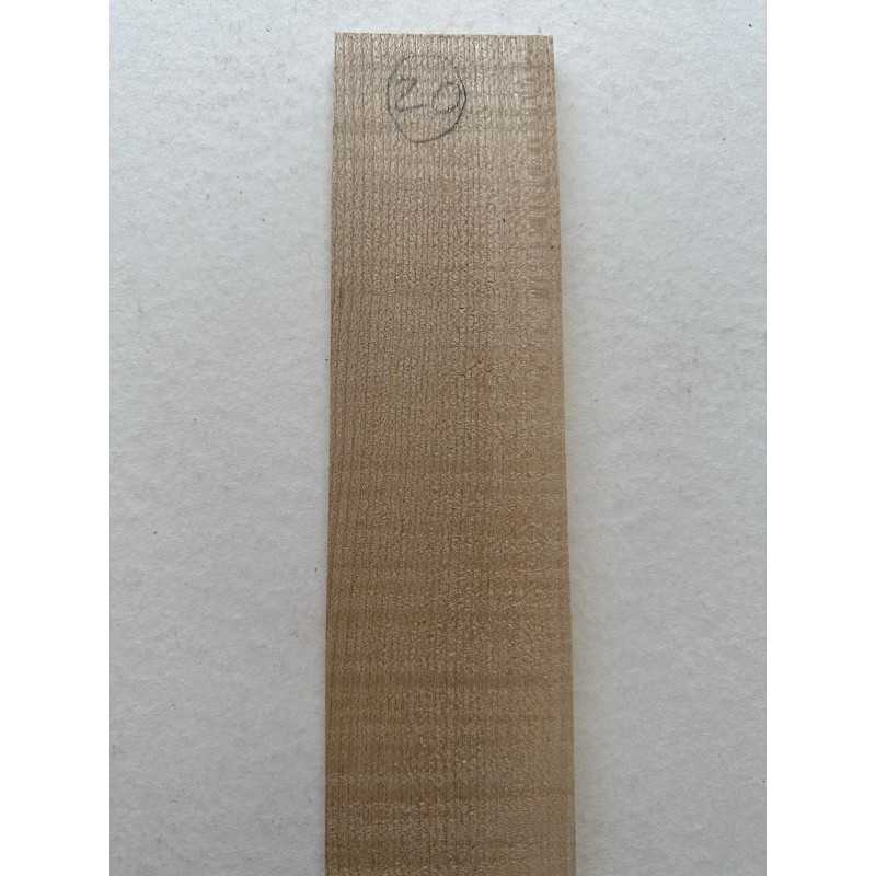 European Flamed Maple Fingerboard 20 | Electric Guitar