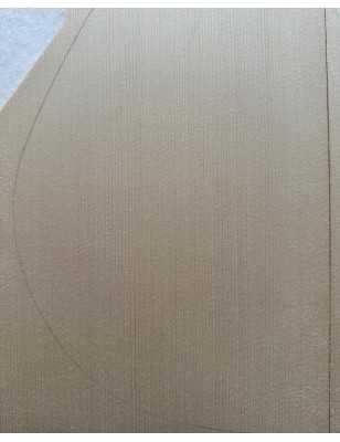 2013 Engelmann Spruce Top 1 |  Classical Guitar