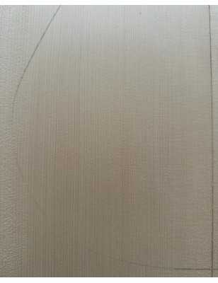 2013 Engelmann Spruce Top 3 |  Classical Guitar