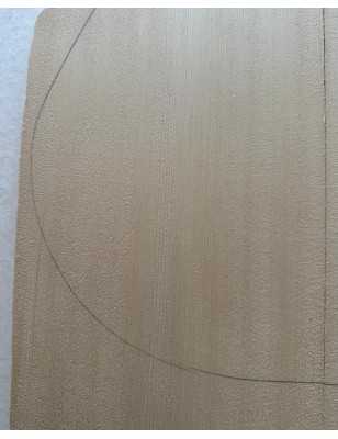 2013 Engelmann Spruce Top 5 |  Classical Guitar