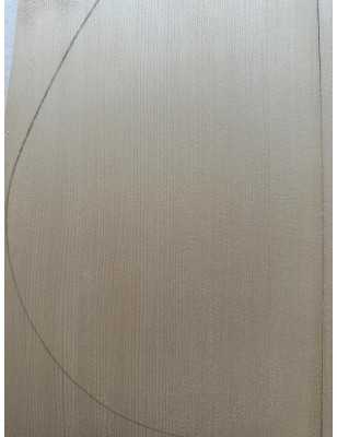 2013 Engelmann Spruce Top 12 |  Classical Guitar