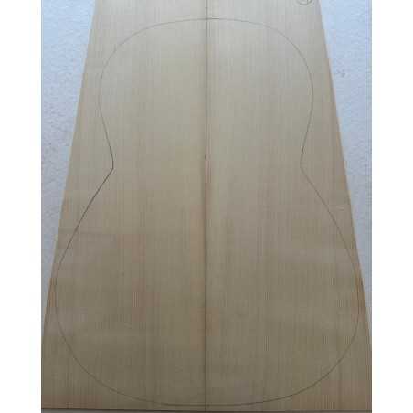 2013 Engelmann Spruce Top 19 |  Classical Guitar