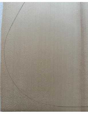 2013 Engelmann Spruce Top 20 |  Classical Guitar