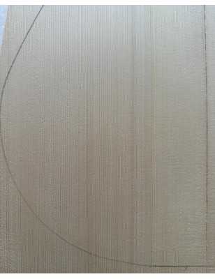 2013 Engelmann Spruce Top 29 |  Classical Guitar