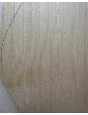 2013 Engelmann Spruce Top 31 |  Classical Guitar