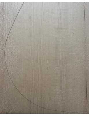 2013 Engelmann Spruce Top 39 |  Classical Guitar