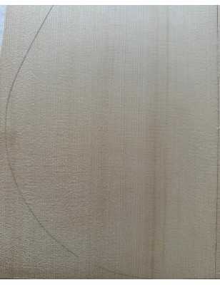 2013 Engelmann Spruce Top 40 |  Classical Guitar