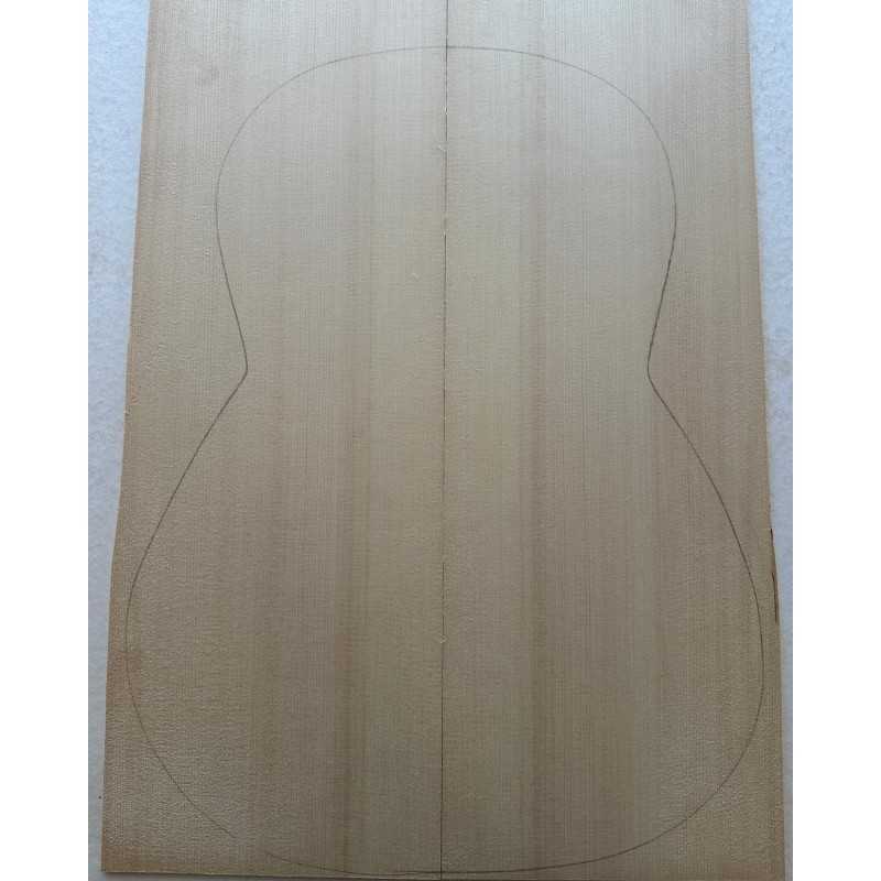 2013 Engelmann Spruce Top 40 |  Classical Guitar