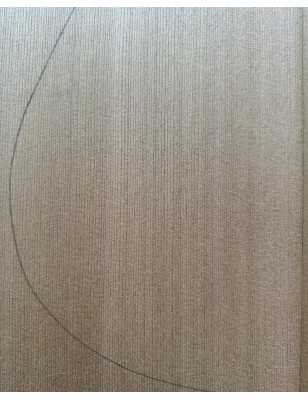 Western Red Cedar Acoustic Guitar Top 6 | 1960s