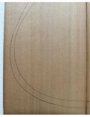 Western Red Cedar Acoustic Guitar Top 9 | 1960s