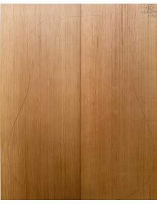 Western Red Cedar Acoustic Guitar Top 10 | 1960s