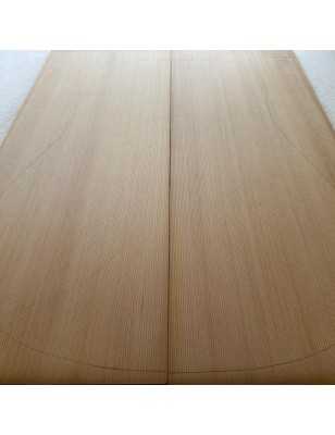 Western Red Cedar Acoustic Guitar Top 15 | 1960s