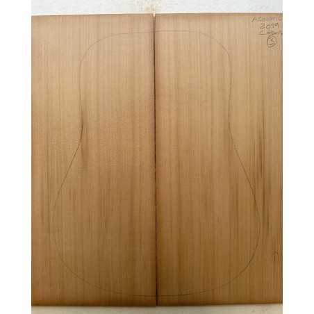 Western Red Cedar Acoustic Guitar Top 3 | 2019