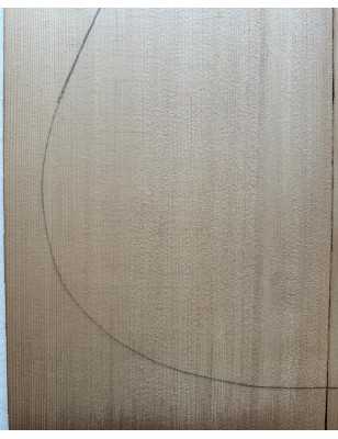 Sitka Spruce Top 1 |  Acoustic Guitar |  2010