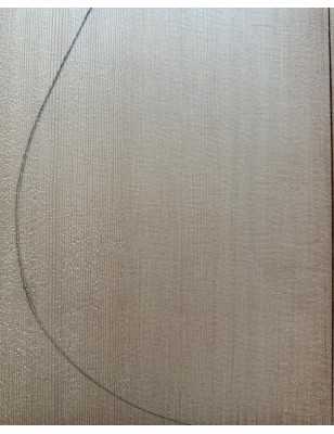 Sitka Spruce Top 4 |  Acoustic Guitar |  2010