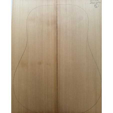 Sitka Spruce Top 5 |  Acoustic Guitar |  2010