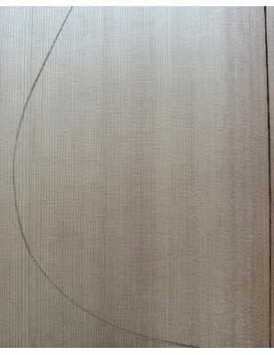 Sitka Spruce Top 7 |  Acoustic Guitar |  2010