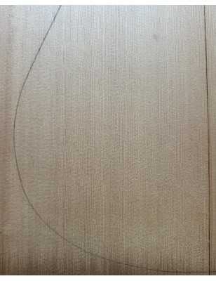 Sitka Spruce Top 8 |  Acoustic Guitar |  2010