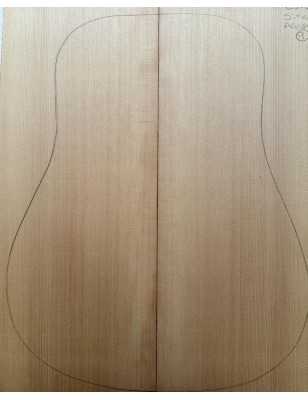 Sitka Spruce Top 9 |  Acoustic Guitar |  2010