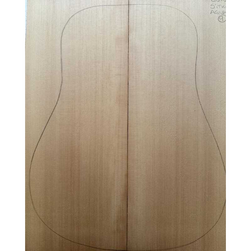 Sitka Spruce Top 9 |  Acoustic Guitar |  2010