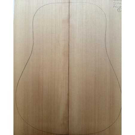 Sitka Spruce Top 9 |  Acoustic Guitar |  2010