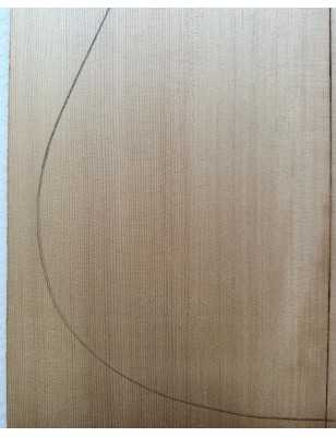 Sitka Spruce Top 9 |  Acoustic Guitar |  2010