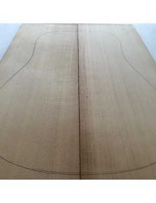 Sitka Spruce Top 10 |  Acoustic Guitar |  2010