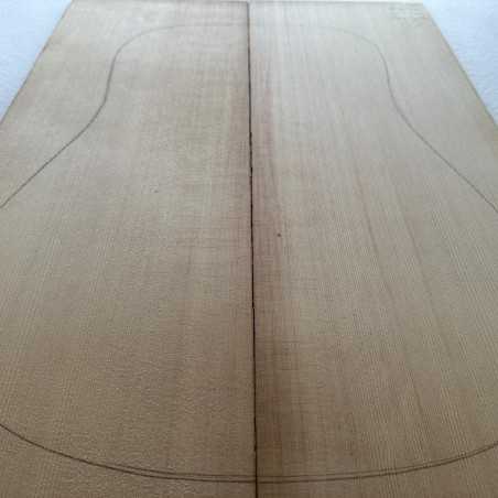 Sitka Spruce Top 10 |  Acoustic Guitar |  2010