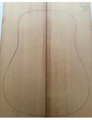 Sitka Spruce Top 10 |  Acoustic Guitar |  2010