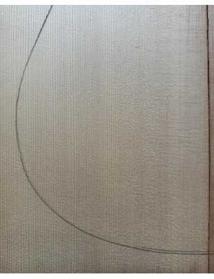 Sitka Spruce Top 10 |  Acoustic Guitar |  2010