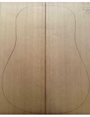 Sitka Spruce Top 11 |  Acoustic Guitar |  2010