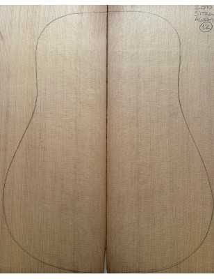 Sitka Spruce Top 12 |  Acoustic Guitar |  2010