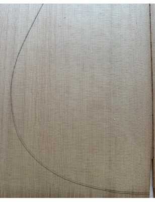 Sitka Spruce Top 12 |  Acoustic Guitar |  2010