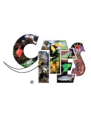 CITES CERTIFICATE