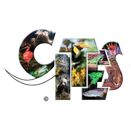 CITES CERTIFICATE
