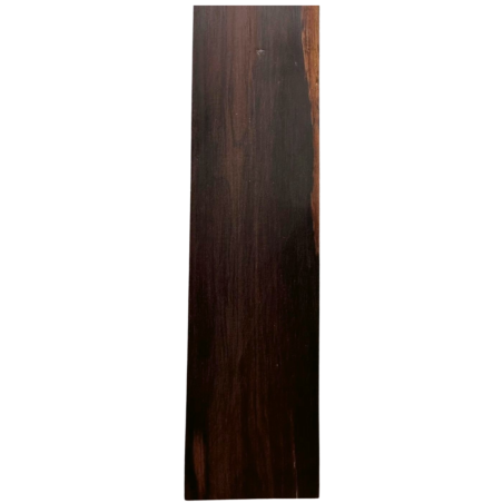 Brazilian Rosewood Fingerboard E9 (+200 years old) | Electric Guitar