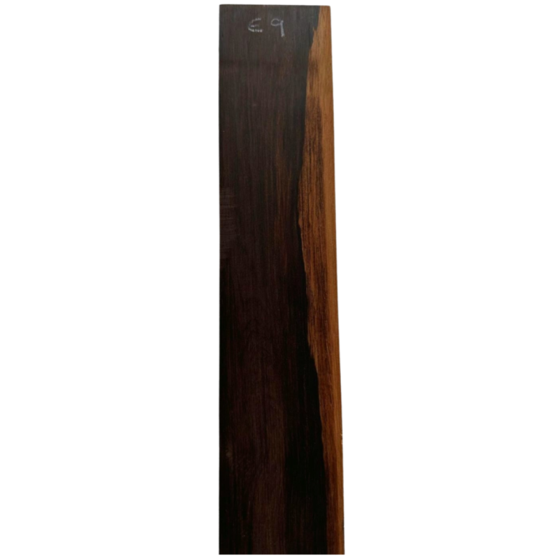 Brazilian Rosewood Fingerboard E9 (+200 years old) | Electric Guitar