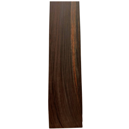 Brazilian Rosewood Fingerboard E34| Electric Guitar