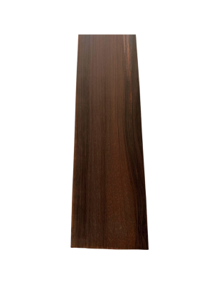 Brazilian Rosewood Fingerboard C16 | 8 & More Strings Classical Guitar