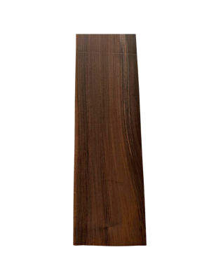 Brazilian Rosewood Fingerboard C17 | 8 & More Strings Classical Guitar