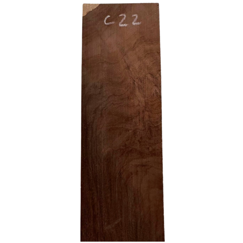 Brazilian Rosewood Fingerboard C22 | Classical Guitar