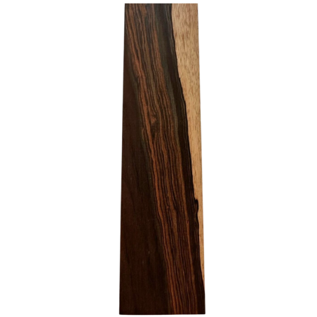 Brazilian Rosewood Fingerboard A3| Acoustic Guitar